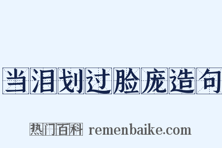 当泪划过脸庞造句是什么意思的图片